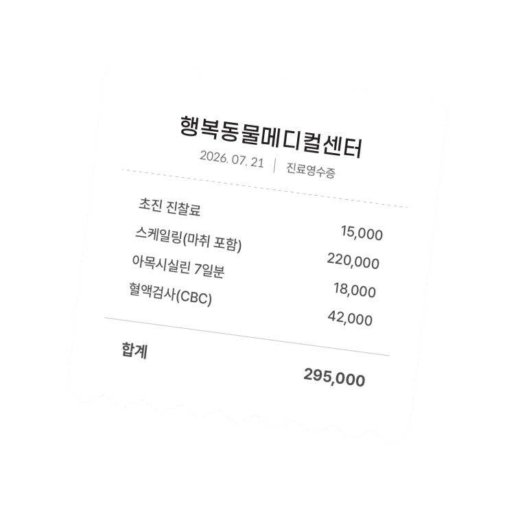 동물병원 영수증 예시